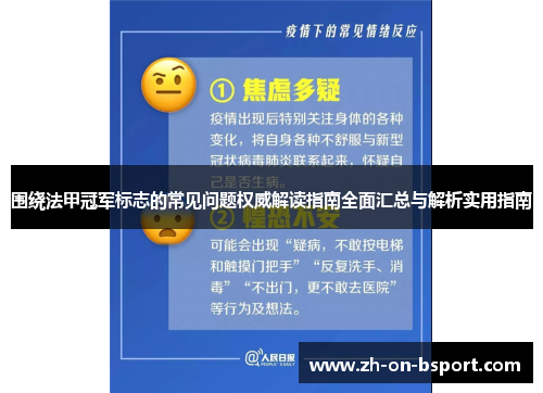 围绕法甲冠军标志的常见问题权威解读指南全面汇总与解析实用指南