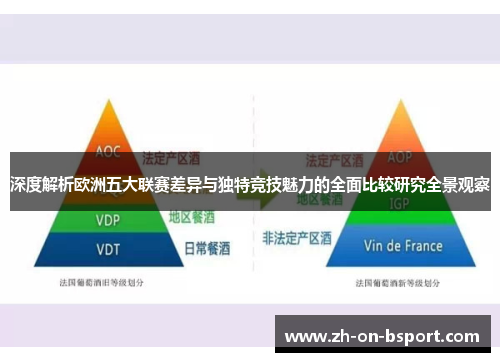 深度解析欧洲五大联赛差异与独特竞技魅力的全面比较研究全景观察