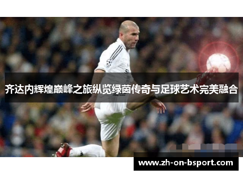 齐达内辉煌巅峰之旅纵览绿茵传奇与足球艺术完美融合 齐达内辉煌巅峰之旅纵览绿茵传奇与足球艺术完美融合
